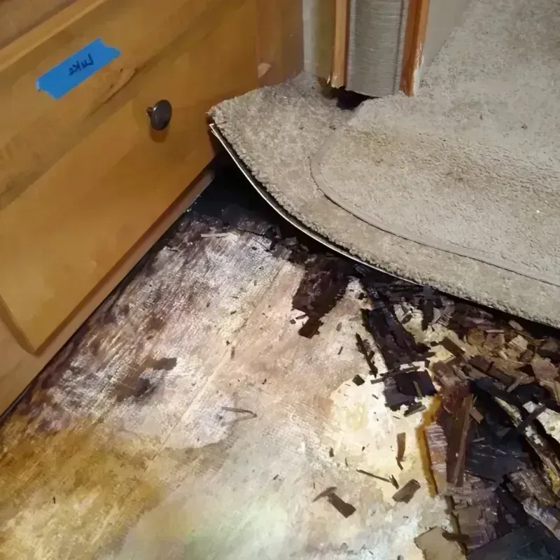 Wood Floor Water Damage in Norwood, PA